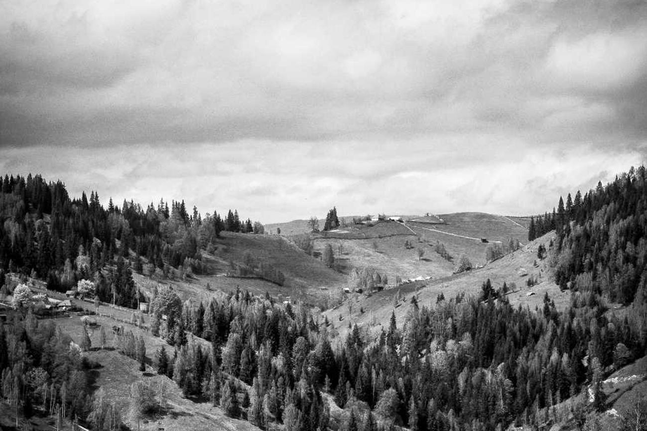 Aut culpa aliquam labore