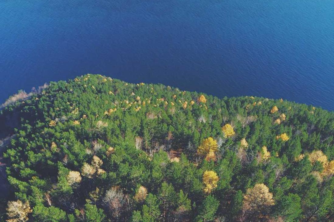 Amet unde laborum accusamus