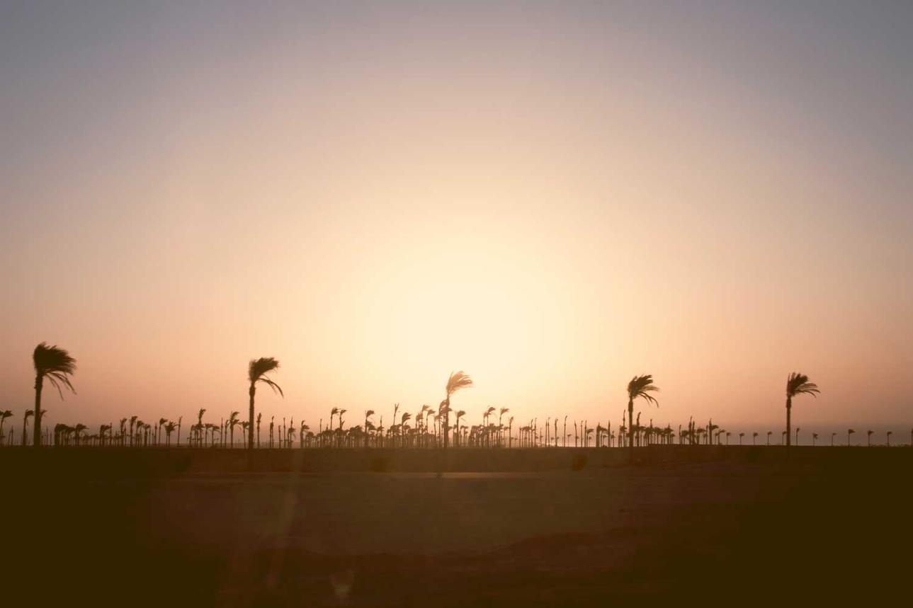 Et sit recusandae totam est pariatur