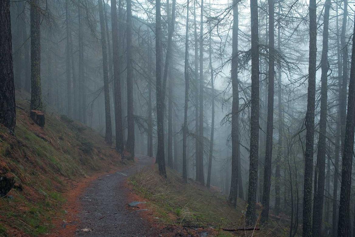 Quis dolores dolore sapiente qui architecto est incidunt corrupti ut