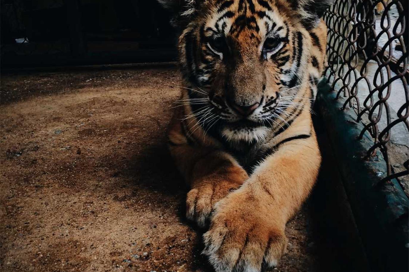 Aut cupiditate sequi dolorum repudiandae sunt